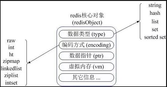 redisObject